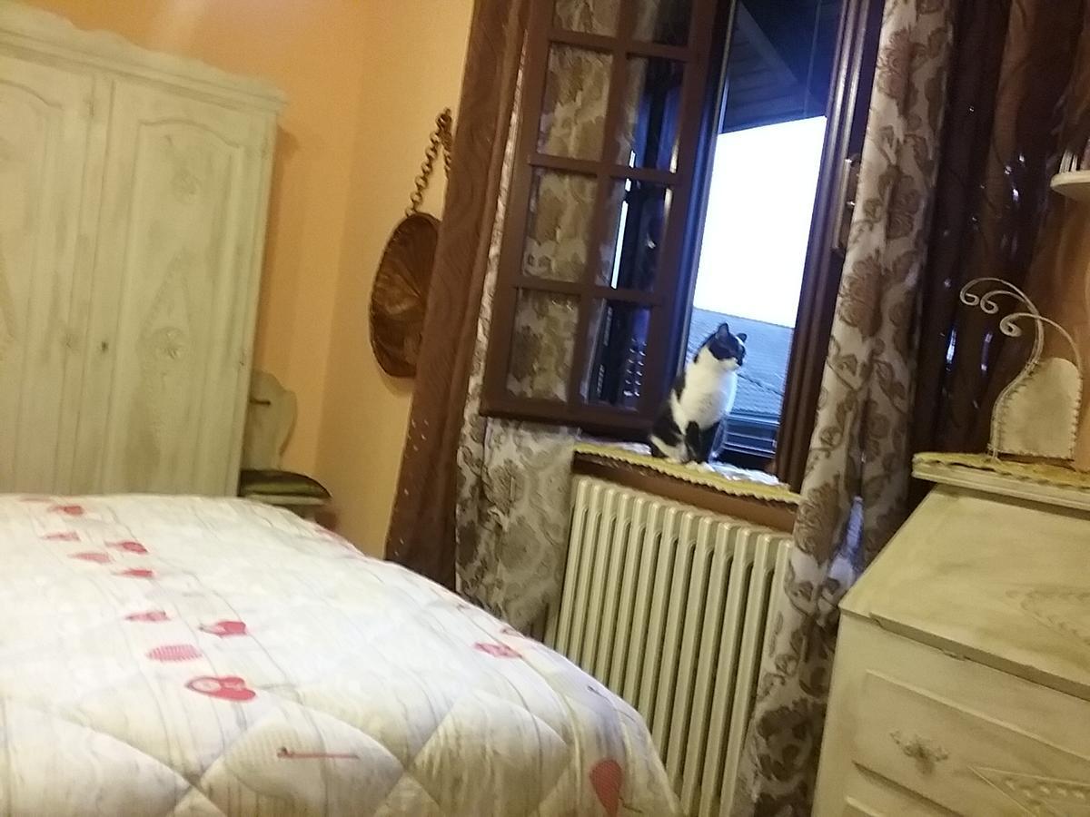 B&B La Gerbolina San Giusto Canavese Exterior foto